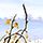《大笨猫：伍尔利斯反击》免安装正式版下载发布